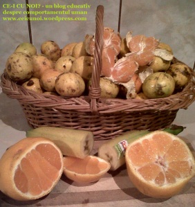 mandarine banane portocale fructe piata agroalimentara Mandarine la 62 de bani kilogramul (0,625 lei) în Bucuresti. Ce poti găsi dacă mergi mai des la piață 12